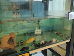 -爱牙联合口腔(门诊报销 海云庵店)