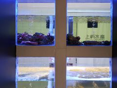-上屿水产(鼓浪屿一店)