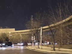 -中环花鸟鱼虫市场