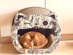 -霸王茶姬(东方新天地店)