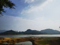 -立新湖公园