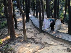 -火炉山森林公园