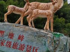 -长沙黑麋峰国家森林公园
