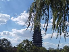 -红梅公园