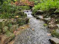 -中国茶叶博物馆(双峰馆区)
