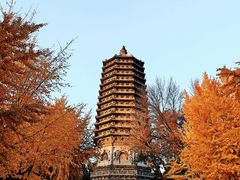 -玲珑塔公园