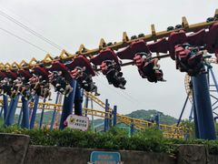 -杭州乐园