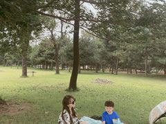 -石家庄市植物园
