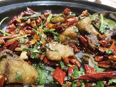 -白家大院·王府宫廷菜(苏州街店)