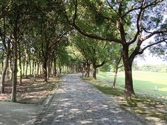 -渔娘蟹庄(阳澄湖莲花岛店)