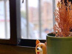-22cafe