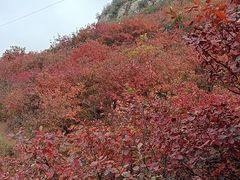 -狼牙山风景区