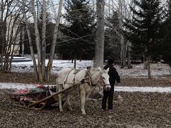 -北极村旅游风景区