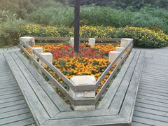 -成都市活水公园