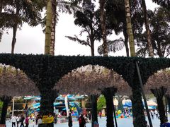 -海合安成都极地海洋公园