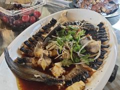 -京北渔家傲
