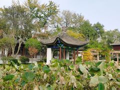 -莲湖公园