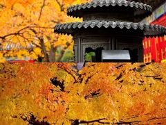 -香山公园