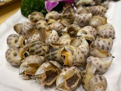 海螺-五四北海鲜吧火锅(秀山路店)