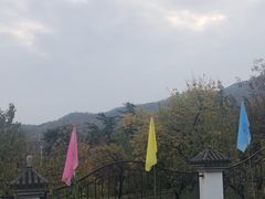 -北京鹫峰国家森林公园