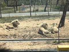 -秦皇岛野生动物园