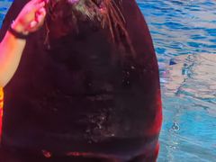 -烟台海昌鲸鲨海洋公园