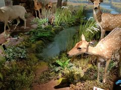 -陕西自然博物馆