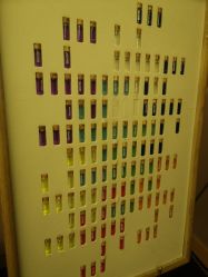 -彩虹之门健康管理