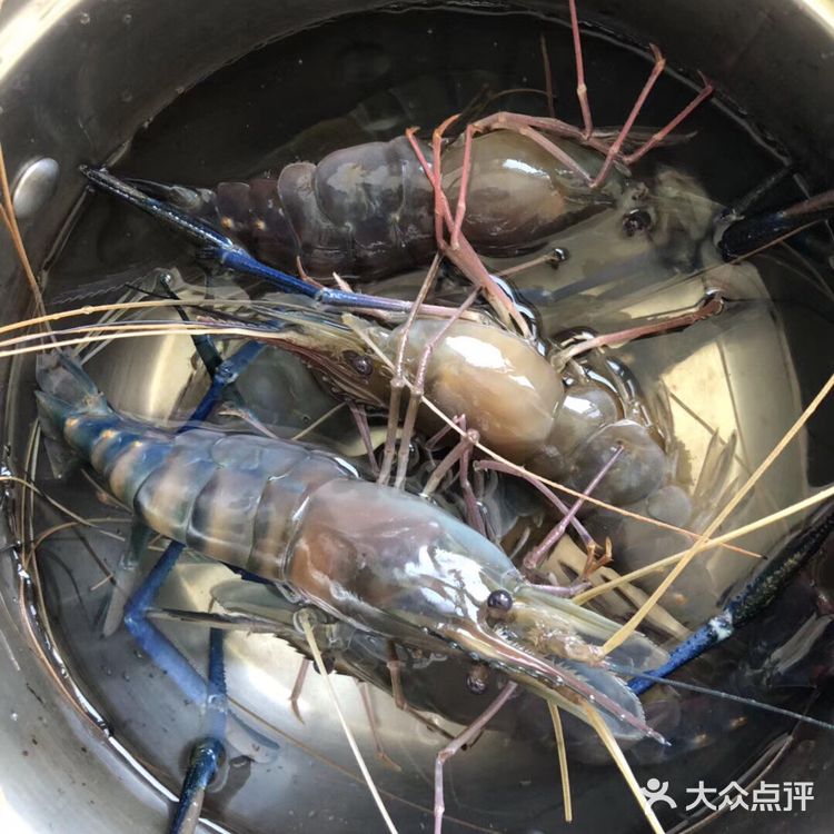 大的虾还是蒸着吃味道好
