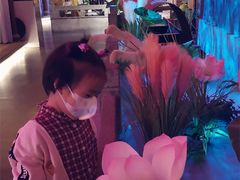 -韵秋荷(宝山龙湖天街店)