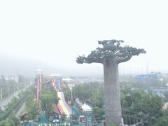 -苏州乐园森林水世界