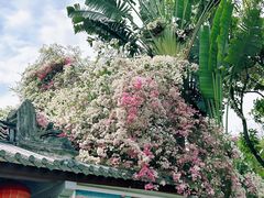 -深圳国际园林花卉博览园