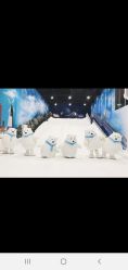 -Mr·Kuma酷么先生雪之乐园