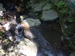 -藏龙百瀑风景区