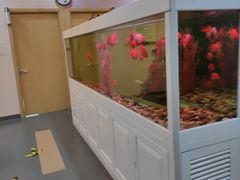 -慈铭体检(洋桥分院)