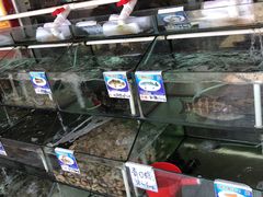 -南海渔家•海鲜•正宗海南菜(海棠湾店)