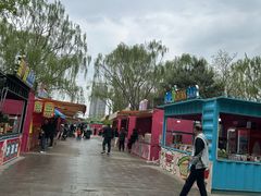 -长白岛森林公园