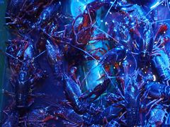 -异特麻辣香锅·烤鱼(怀柔店)