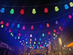 -鼎盛王朝康熙大典实景演出