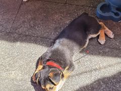 -南门头上美食街