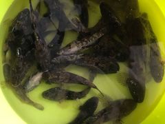 -鱼乐岛餐厅·户外花园主题餐厅