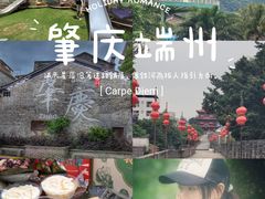 -鼎香皇高佬苏裹蒸粽