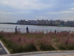 -九龙湖公园