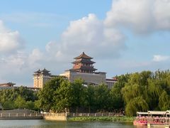 -莲花池公园