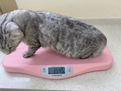 -美联众合动物医院·24h京西诊疗中心