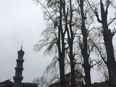 -凤栖山