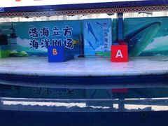 -成都浩海立方海洋公园