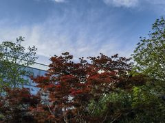 -雅达·阳羡溪山小镇中心