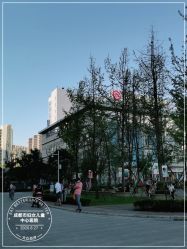 -成都市妇女儿童中心医院(中心院区)