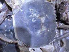 -聚盛源蒸汽海鲜火锅烤肉自助(巨川金海岸购物广场店)